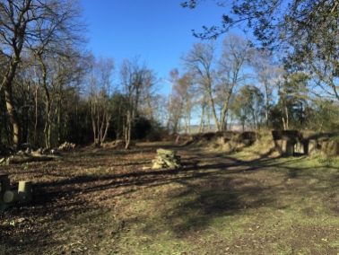 Tree clearing, Limpsfield Common