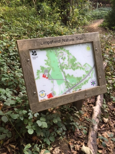 Limpsfield Nature Trail, Grub St